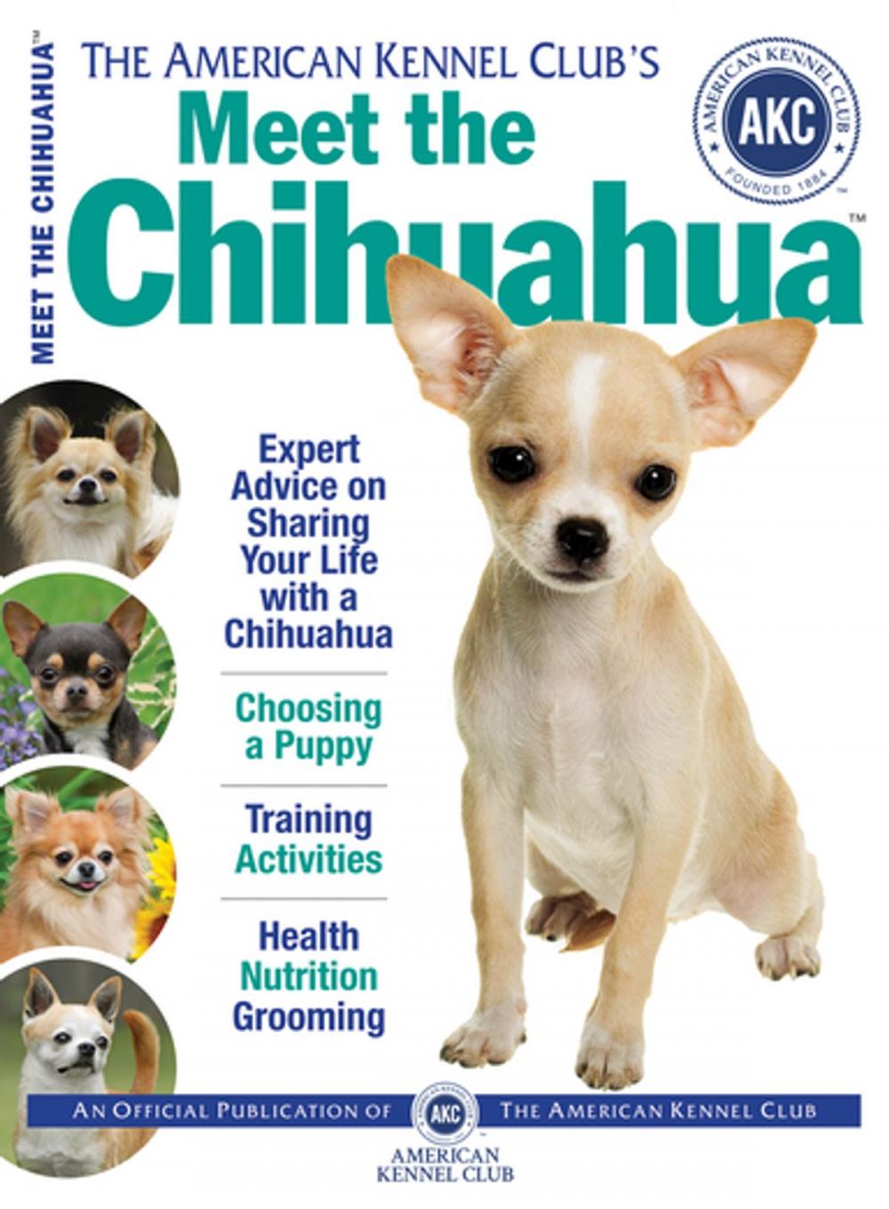 Big bigCover of Meet the Chihuahua