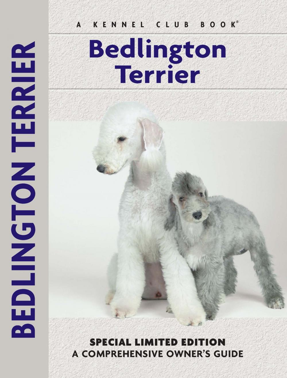 Big bigCover of Bedlington Terrier