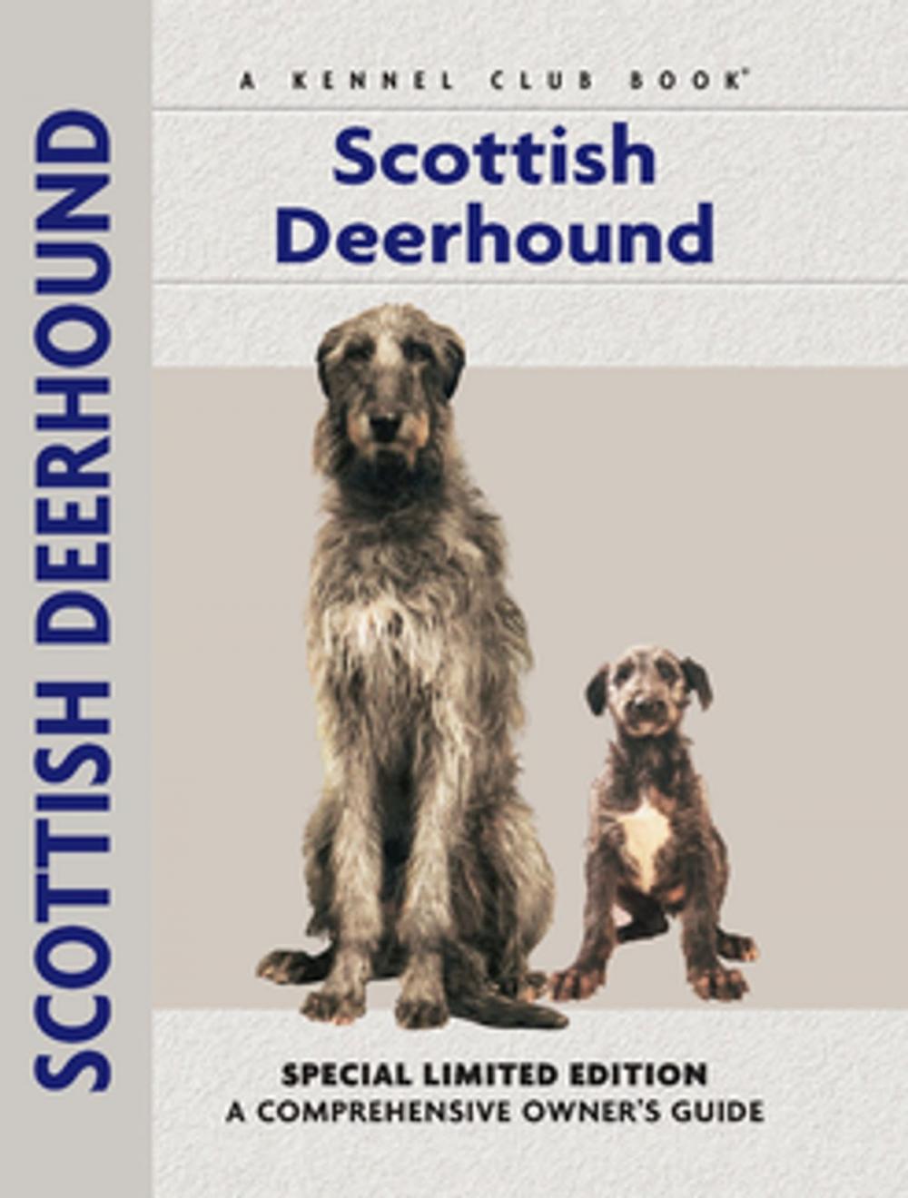 Big bigCover of Scottish Deerhound