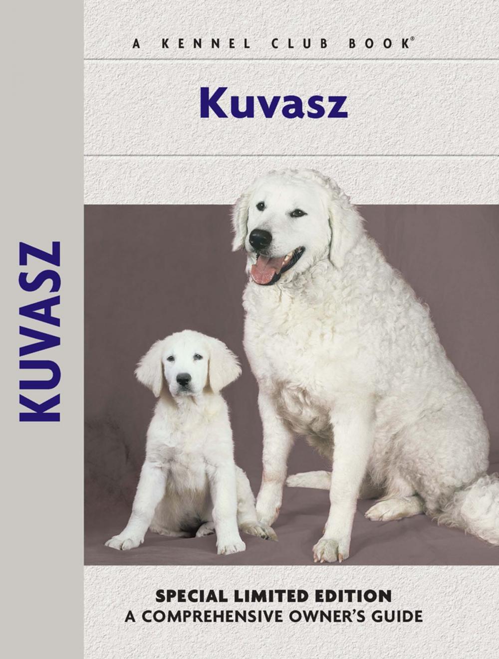 Big bigCover of Kuvasz