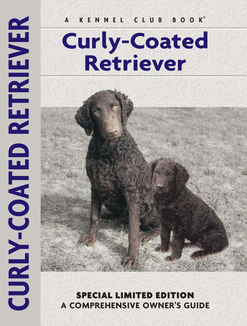 Big bigCover of Curly-coated Retriever