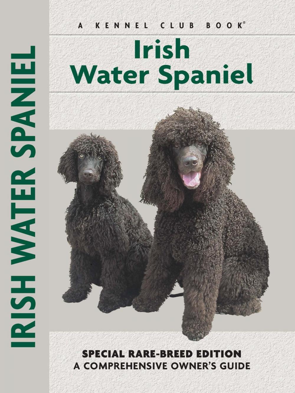 Big bigCover of Irish Water Spaniel