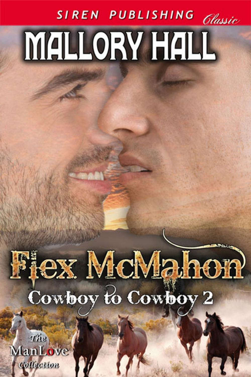 Big bigCover of Flex McMahon