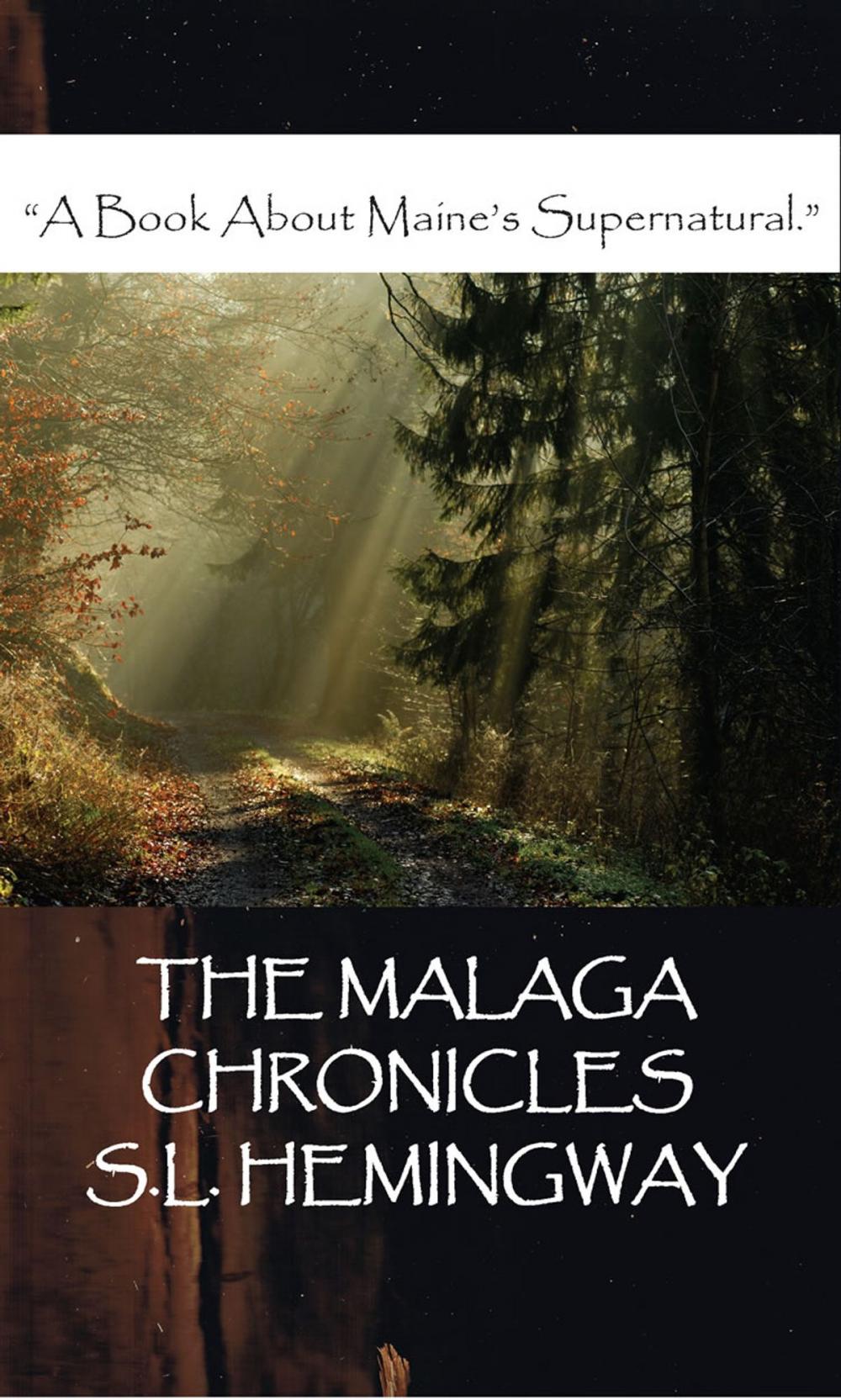 Big bigCover of The Malaga Chronicles