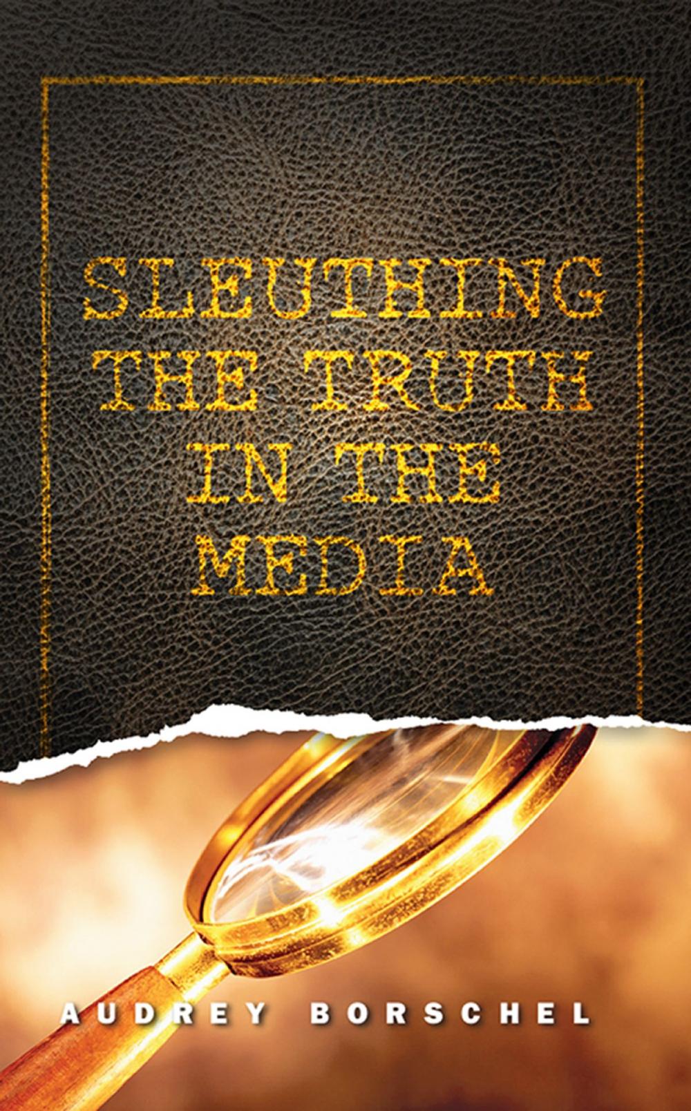 Big bigCover of Sleuthing the Truth In the Media