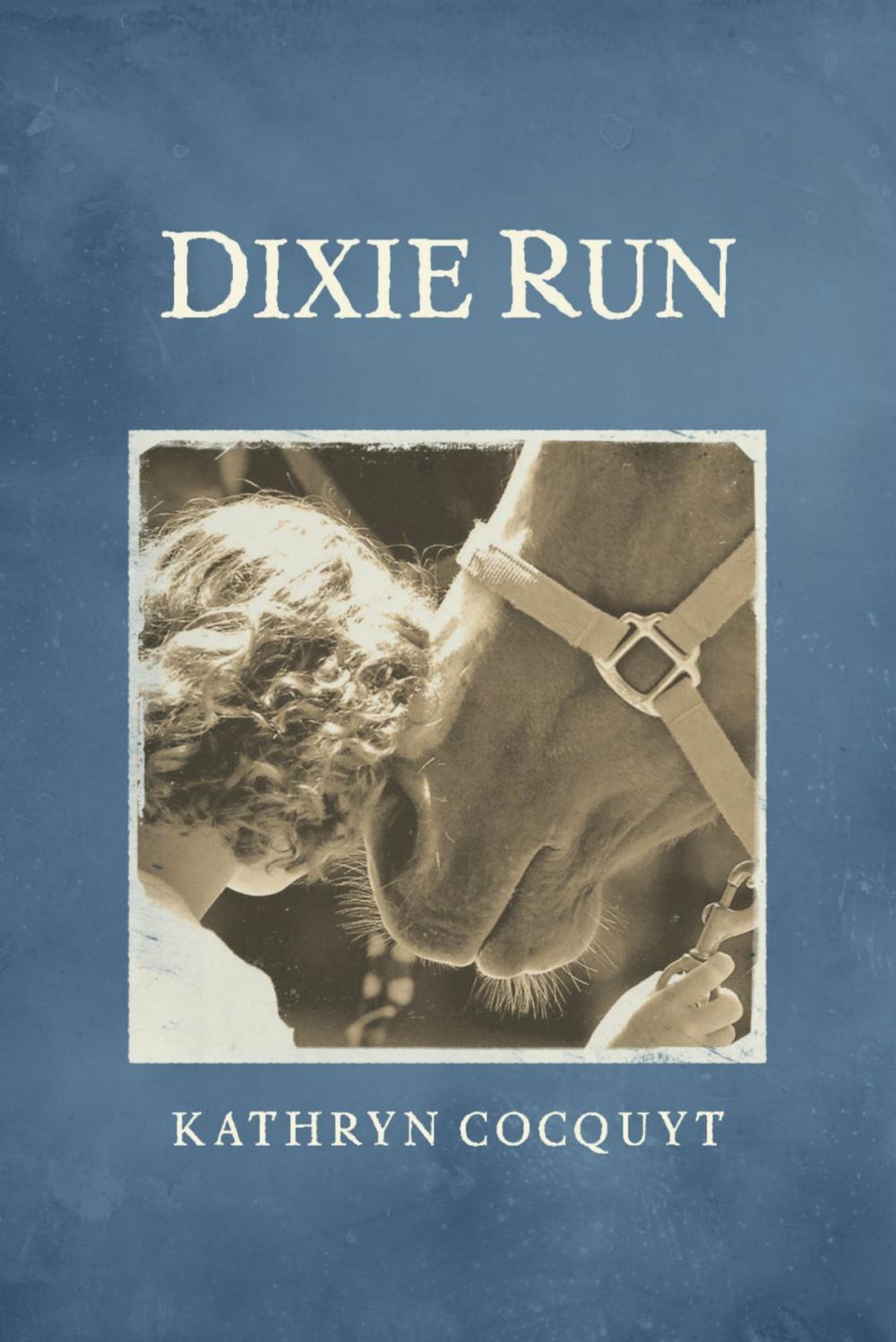 Big bigCover of Dixie Run