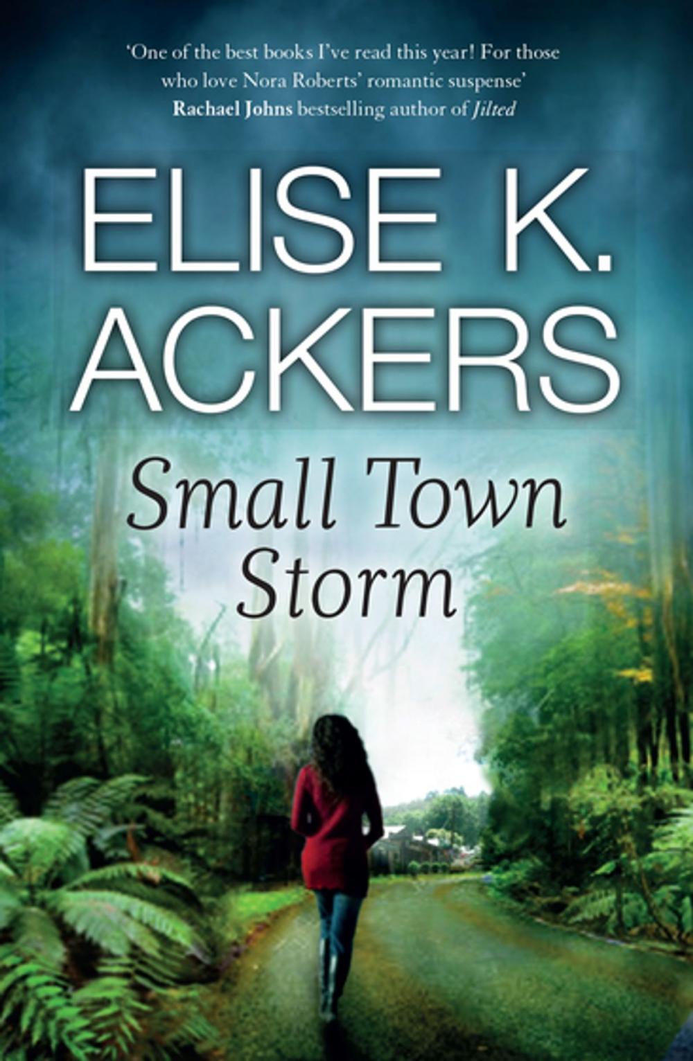 Big bigCover of Small Town Storm: Destiny Romance