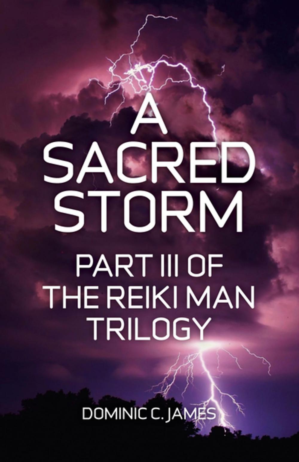 Big bigCover of A Sacred Storm