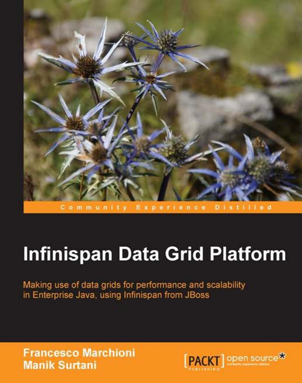 Big bigCover of Infinispan Data Grid Platform