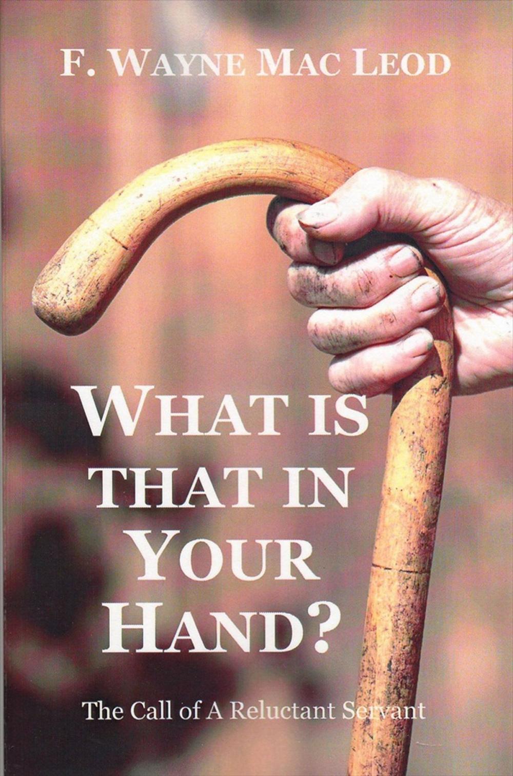 Big bigCover of What is That In Your Hand?