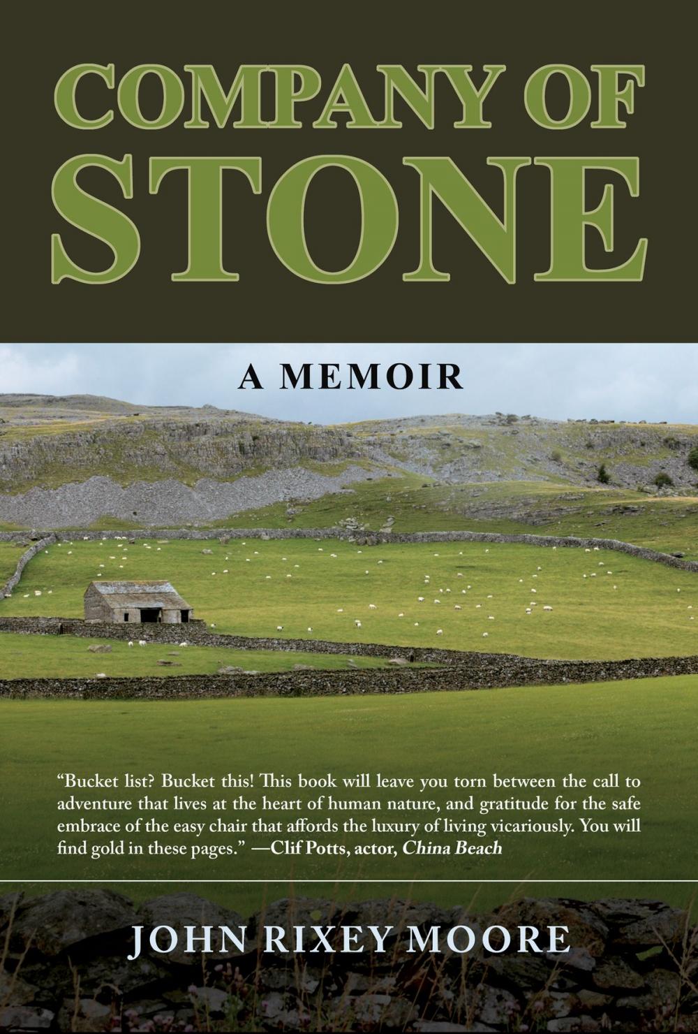 Big bigCover of Company of Stone: A Memoir