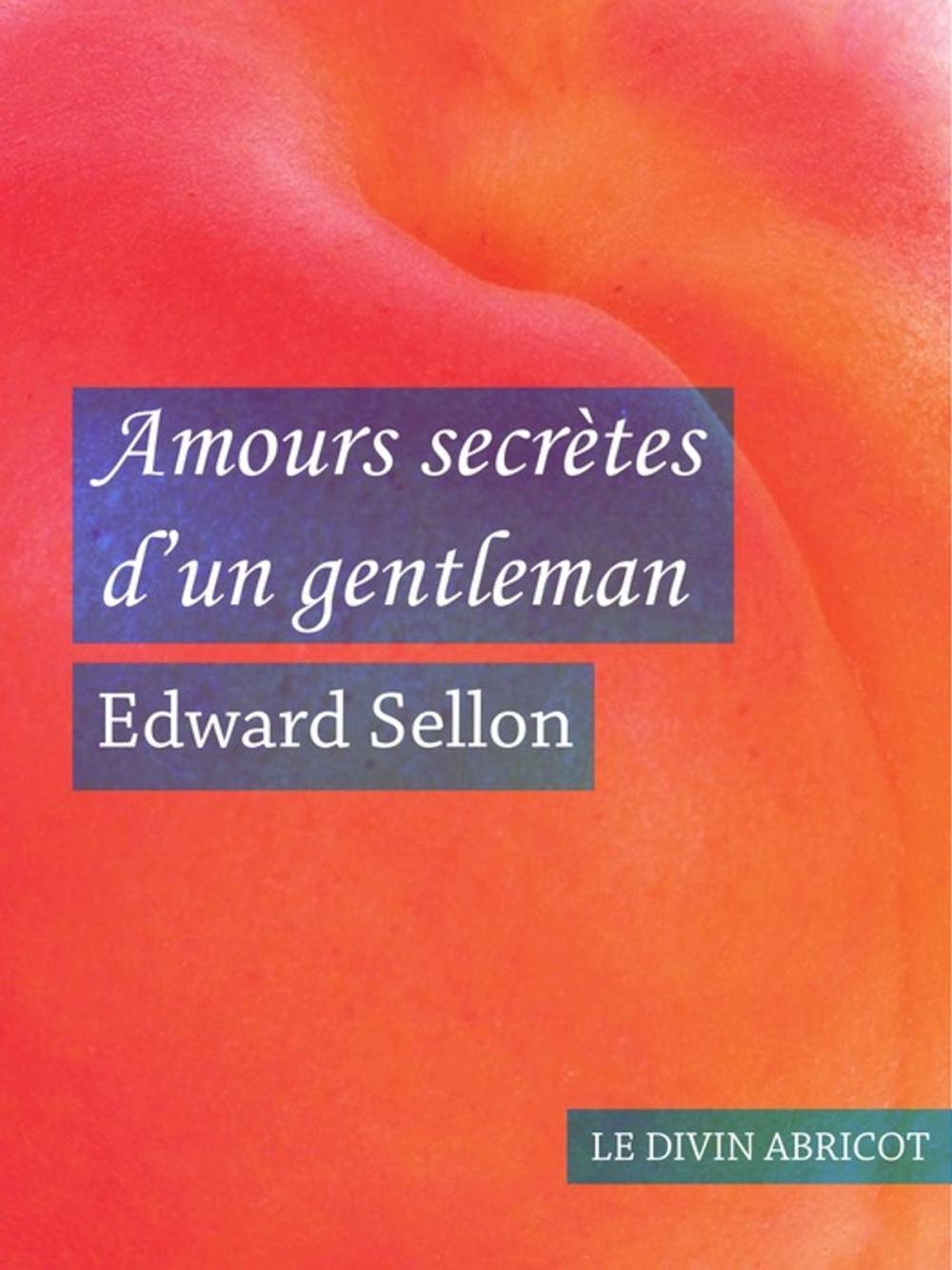 Big bigCover of Amours secrètes d'un gentleman (érotique)