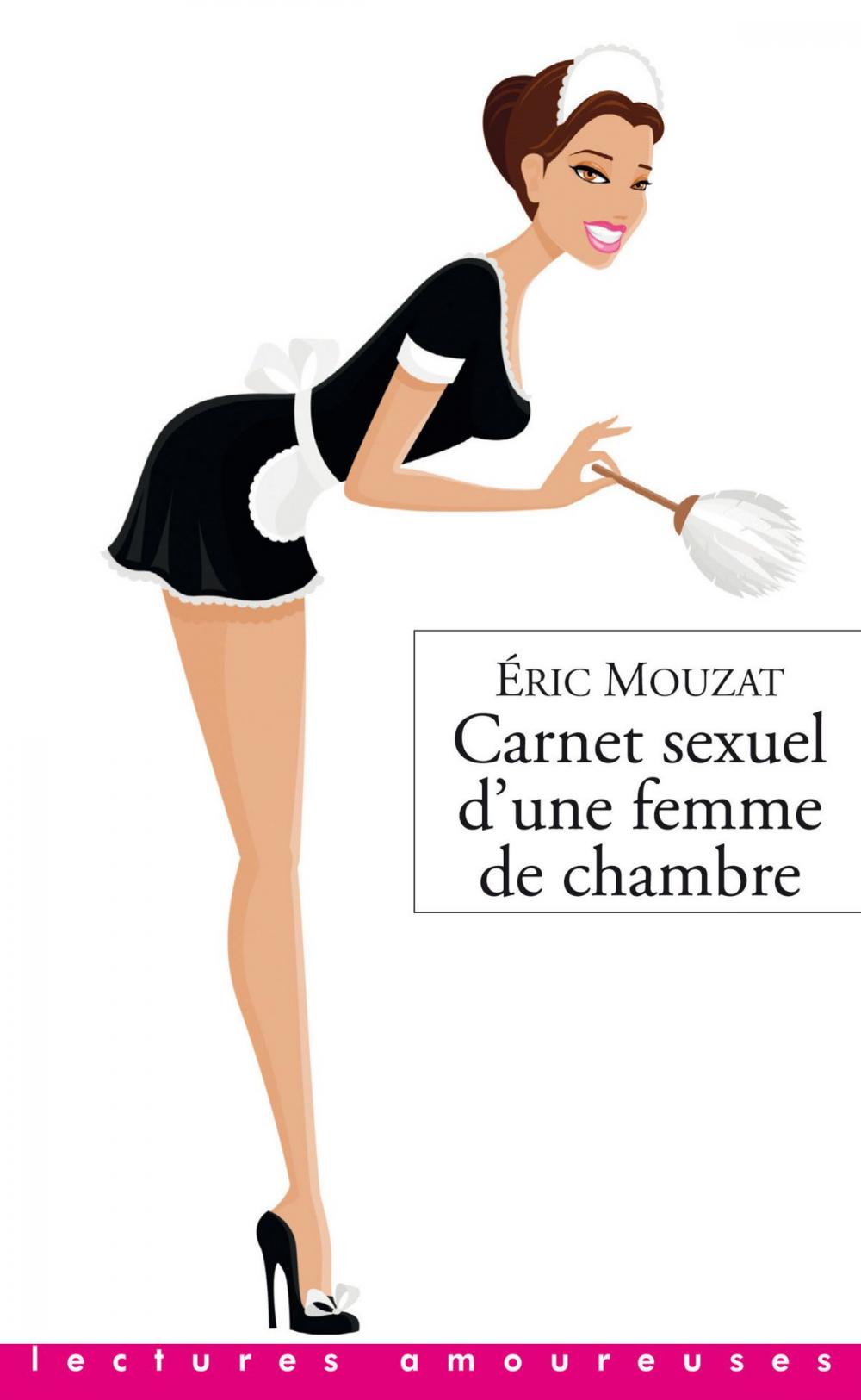 Big bigCover of Carnet sexuel d'une femme de chambre