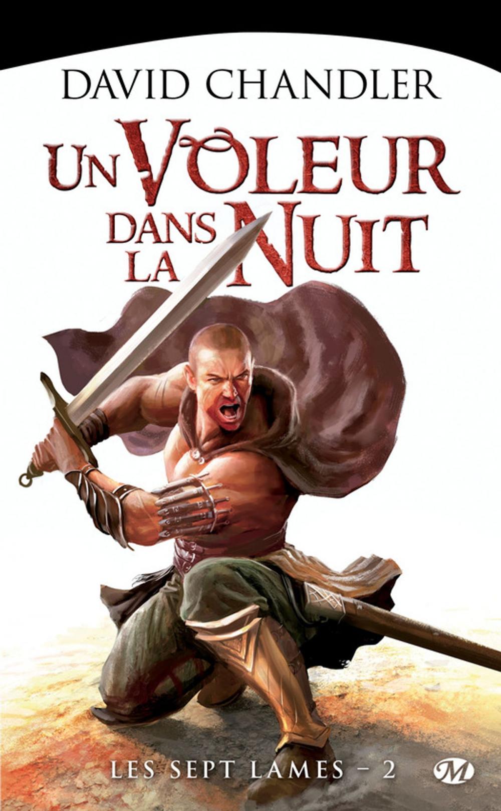 Big bigCover of Un voleur dans la nuit