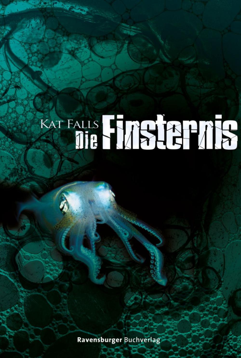 Big bigCover of Die Finsternis