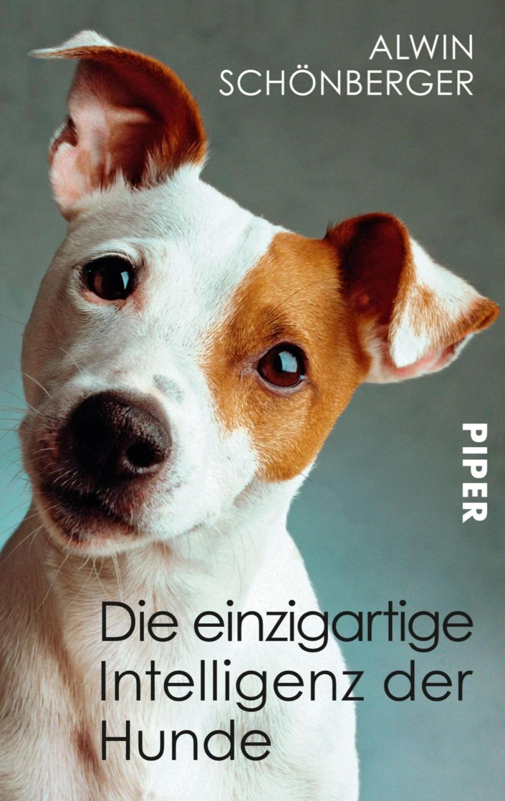 Big bigCover of Die einzigartige Intelligenz der Hunde