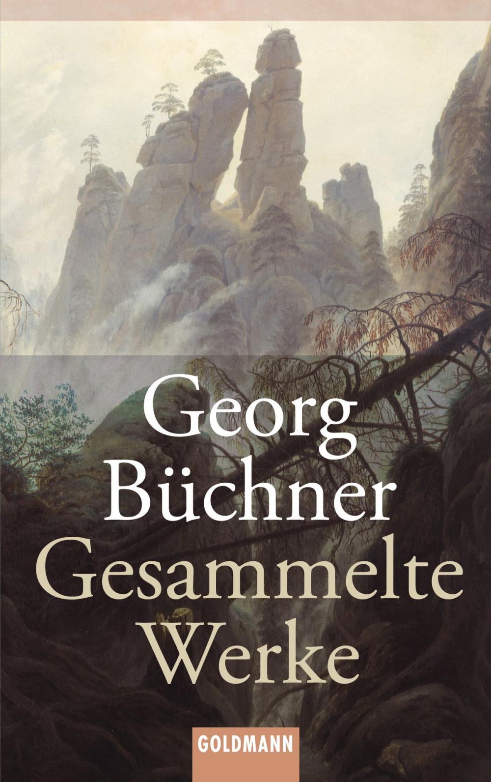 Big bigCover of Gesammelte Werke