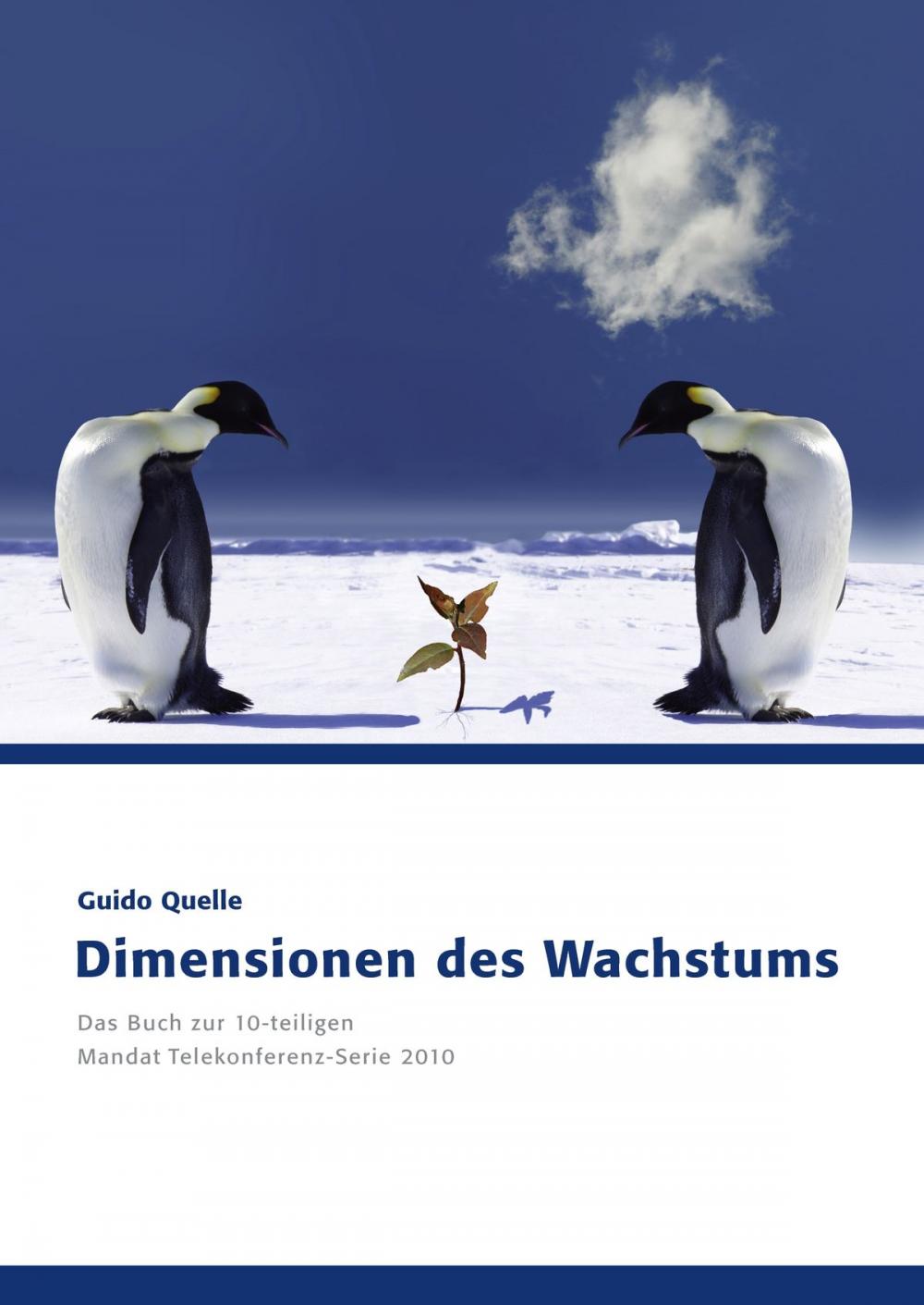 Big bigCover of Dimensionen des Wachstums