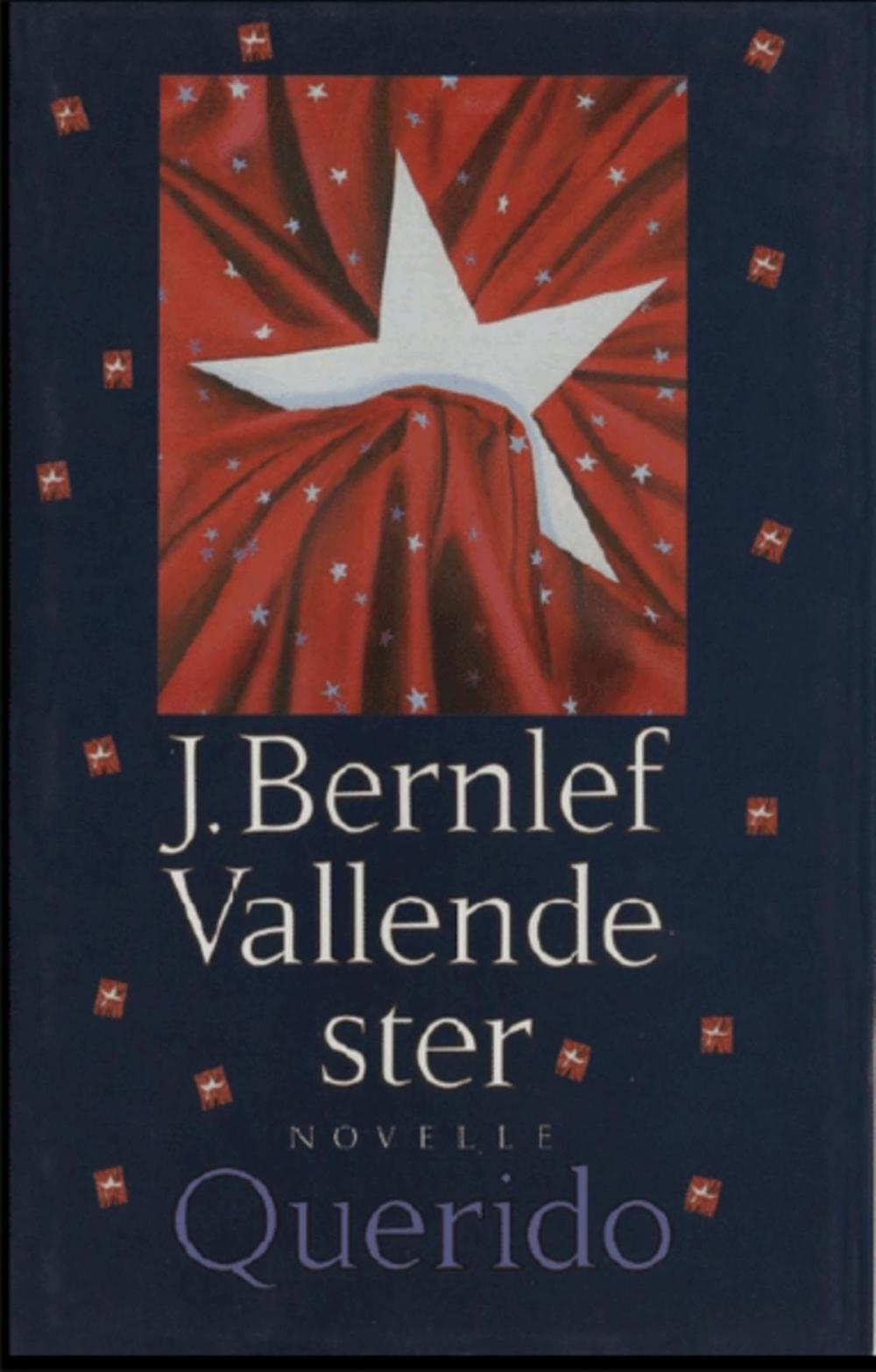 Big bigCover of Vallende ster