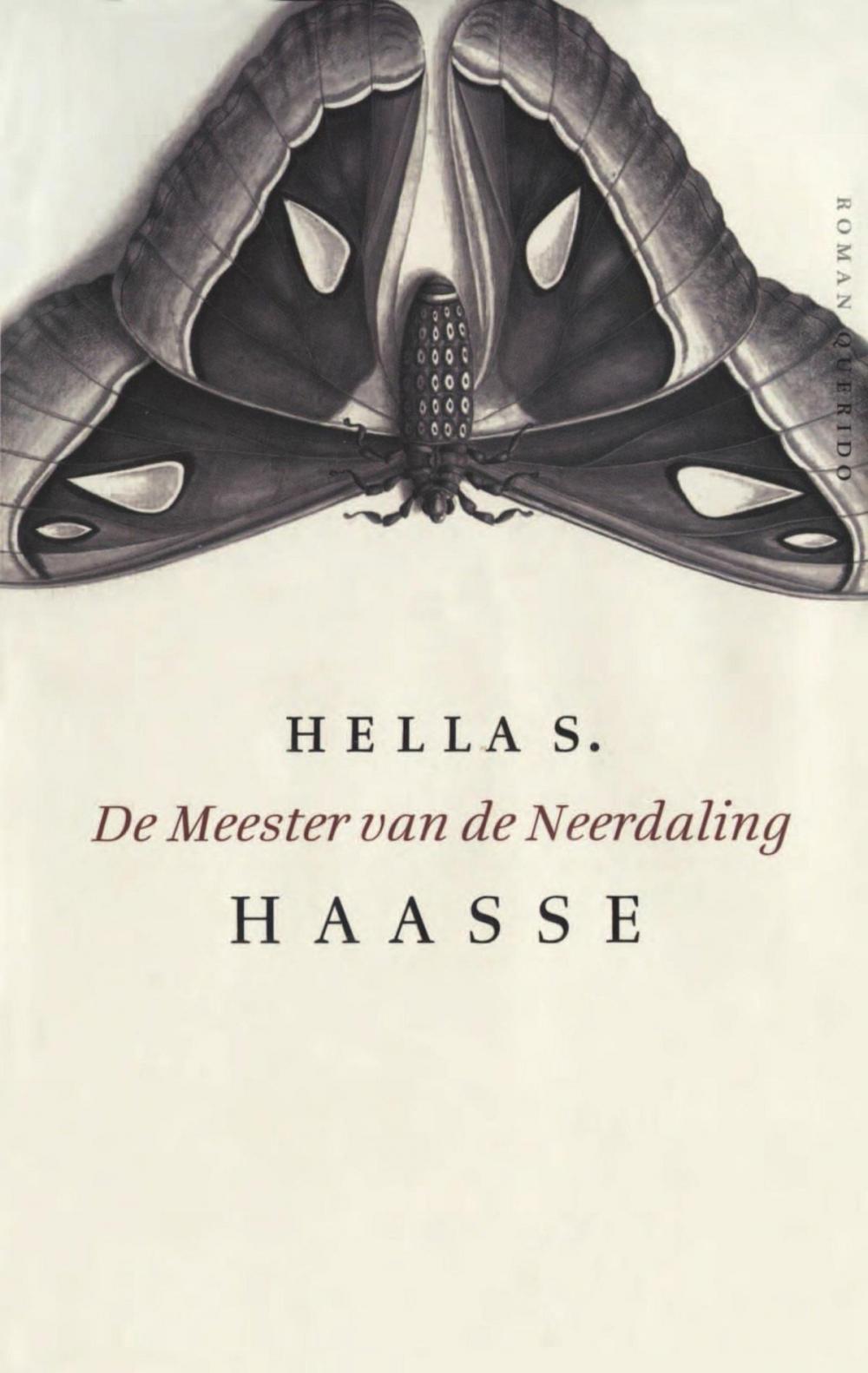 Big bigCover of De meester van de neerdaling