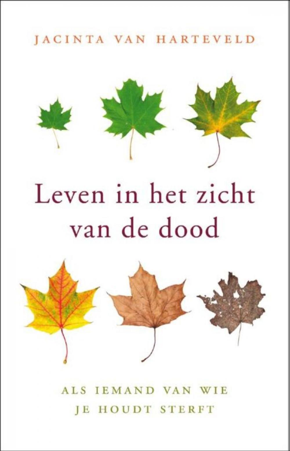 Big bigCover of Leven in het zicht van de dood