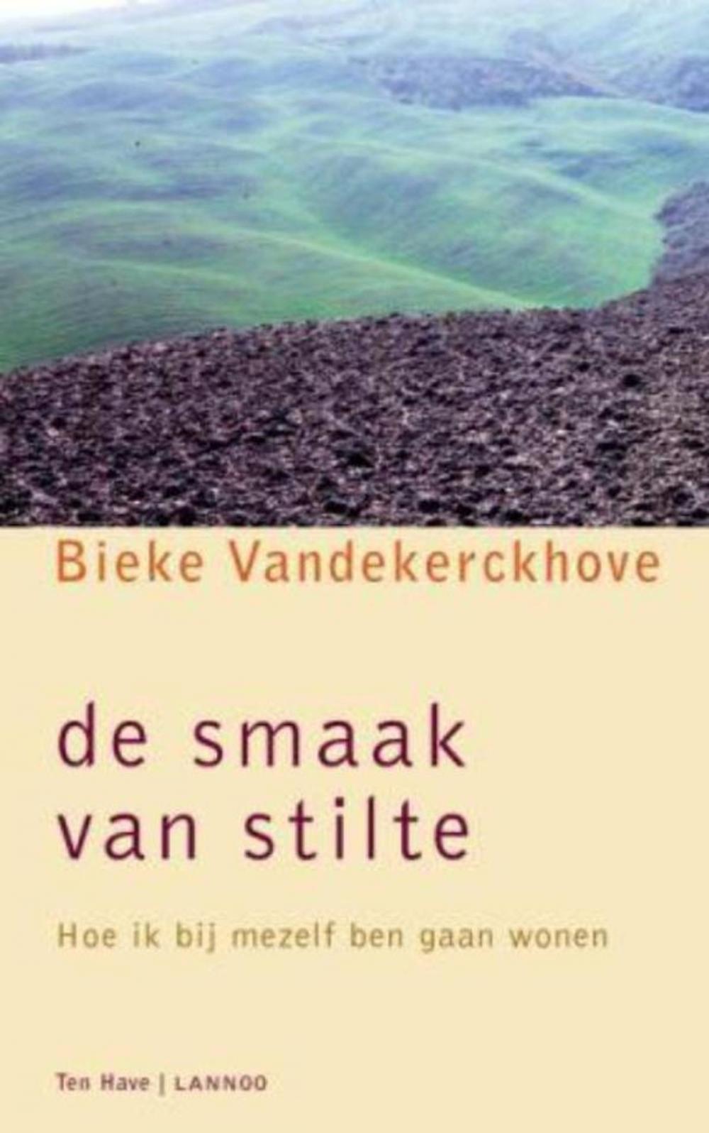 Big bigCover of De smaak van stilte