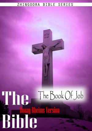 Cover of the book The Holy Bible Douay-Rheims Version,The Book Of Job by STEVIE OKAURU