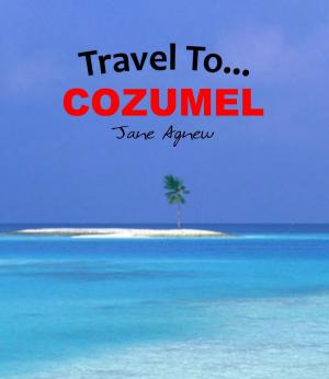Cover of the book Travel To… Cozumel by Donald Cooke
