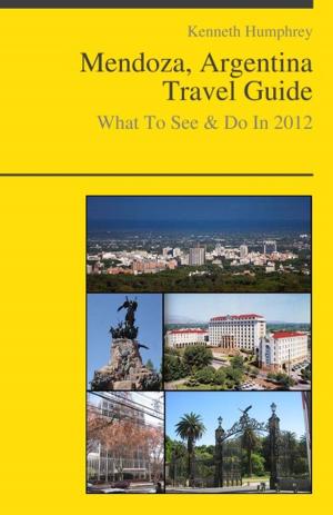 Book cover of Mendoza, Argentina Travel Guide - What To See & Do