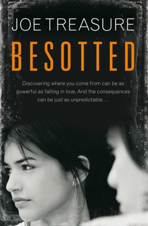 Book cover of Besotted