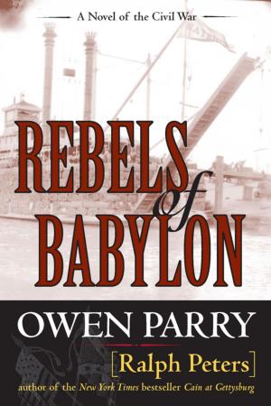 Book cover of Rebels of Babylon