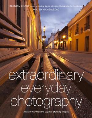 Cover of the book Extraordinary Everyday Photography by Steve Royce