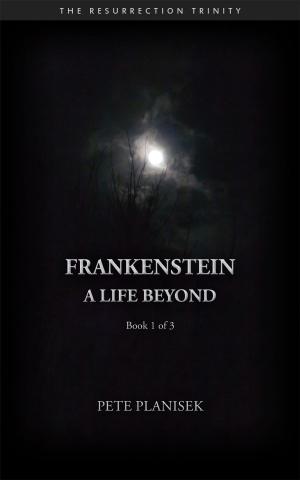 Cover of the book Frankenstein A Life Beyond by Anne N Iwobi