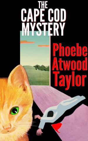 Book cover of The Cape Cod Mystery