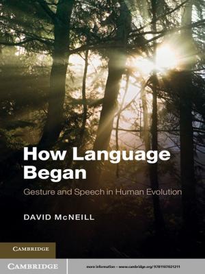 Cover of the book How Language Began by Ece Özlem Atikcan