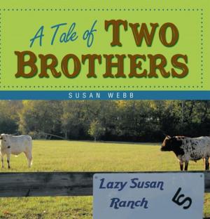 Cover of the book A Tale of Two Brothers by Teric Darken