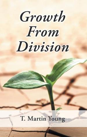Cover of the book Growth from Division by Eric W. A. Kelly
