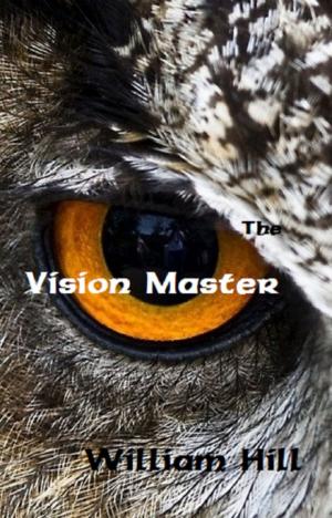 Book cover of The Vision Master
