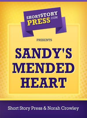 Cover of the book Sandy's Mended Heart by Allie Cooke