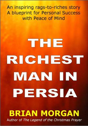 Cover of the book The Richest Man in Persia by Robin McKnight, M.A., LPC