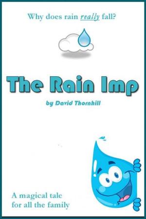 bigCover of the book The Rain Imp by 