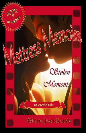Book cover of Mattress Memoirs ~ Stolen Moments