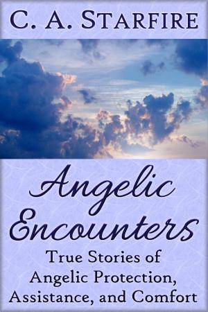 Cover of Angelic Encounters: True Stories of Angelic Protection, Assistance, and Comfort