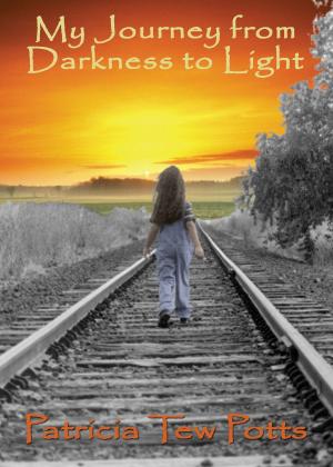 Cover of My Journey from Darkness to Light