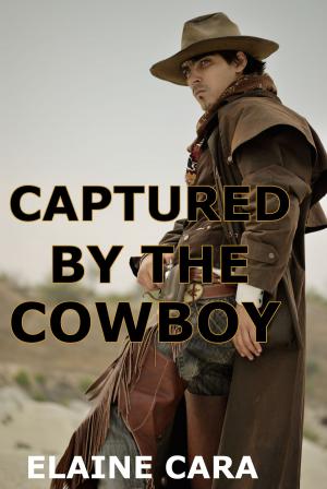Book cover of Captured by the Cowboy (Gay Werewolf Erotica)