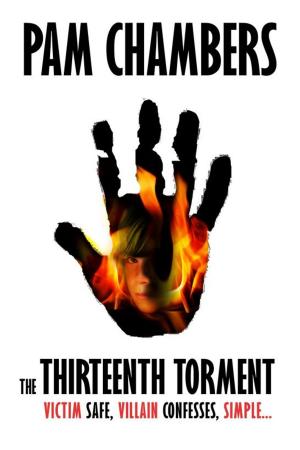 Book cover of The Thirteenth Torment