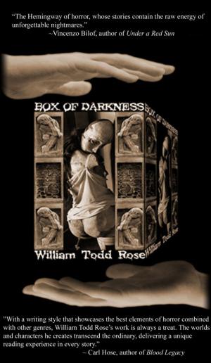 Cover of the book Box of Darkness by A.E Churchyard