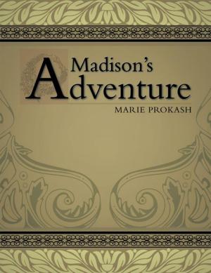 Cover of the book Madison's Adventure by Rev. Robert Antwi