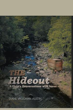 Cover of the book The Hideout by Regis J. Belcher Jr.