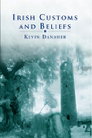 Book cover of Irish Customs And Beliefs